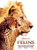 Félins Félins
