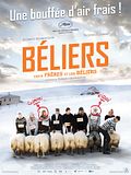 Béliers Béliers