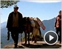 Le Dernier voyage du juge Feng Extrait vidéo (2) VO