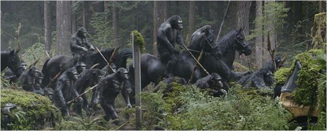 La Planète des singes : l'affrontement, New York Melody... Découvrez les sorties de la semaine ! La Planète des singes : l'affrontement, New York Melody... Découvrez les sorties de la semaine !
