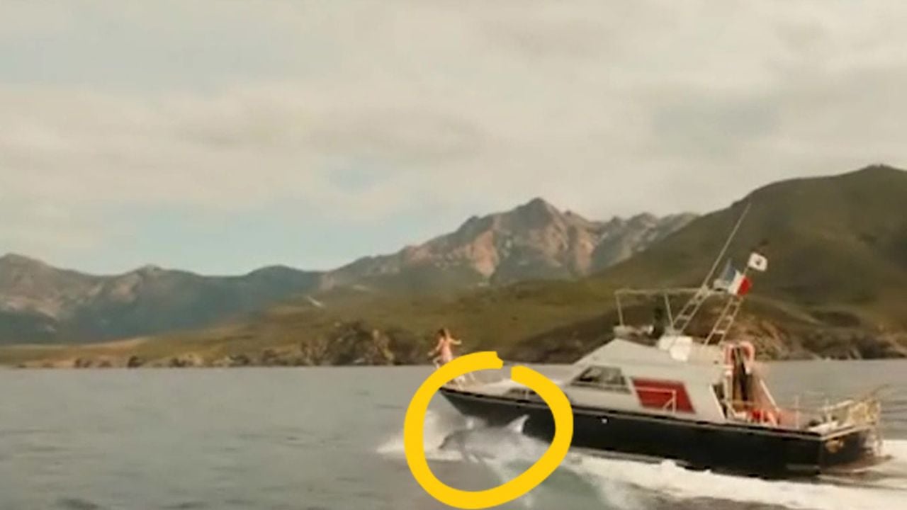 Le Temps est assassin : les dauphins ratés de TF1 plus forts que la biche de The Walking Dead ?