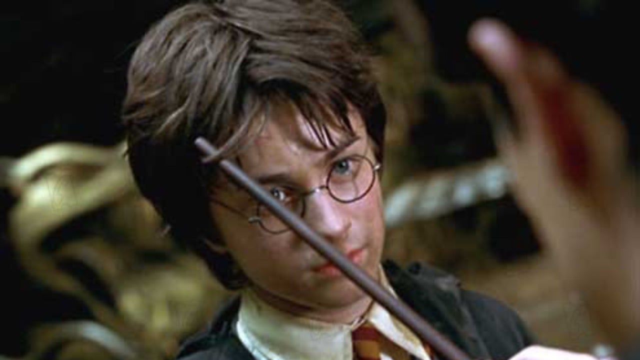 Harry Potter et la Chambre des Secrets sur TF1 : ce n'est pas la voix de Daniel Radcliffe dans la totalité du film !