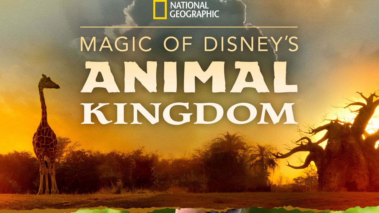 Au coeur des parcs animaliers Disney : Animal Kingdom, la série-docu le 25 septembre sur Disney+