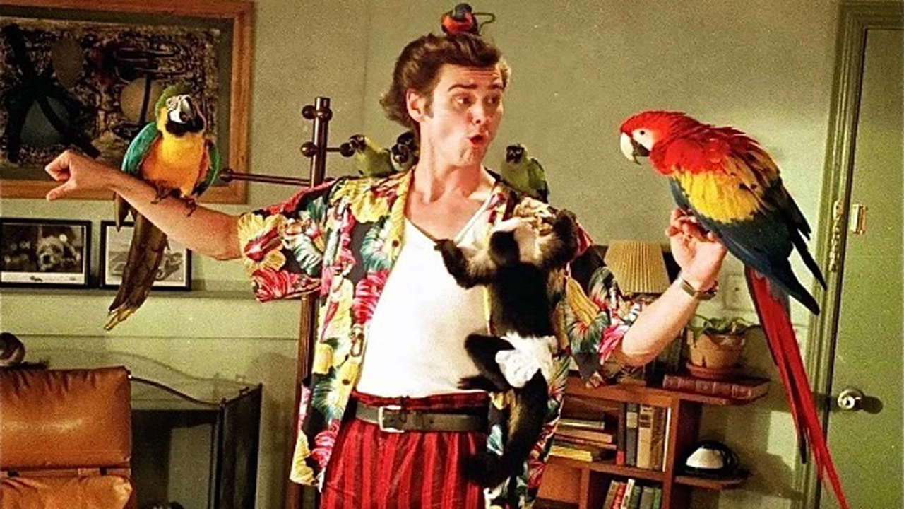 Ace Ventura 3 : Jim Carrey bientôt de retour sur Amazon