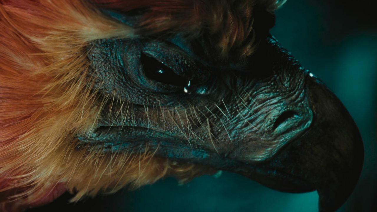 Quiz Harry Potter : à quels personnages appartiennent ces animaux de compagnie ?