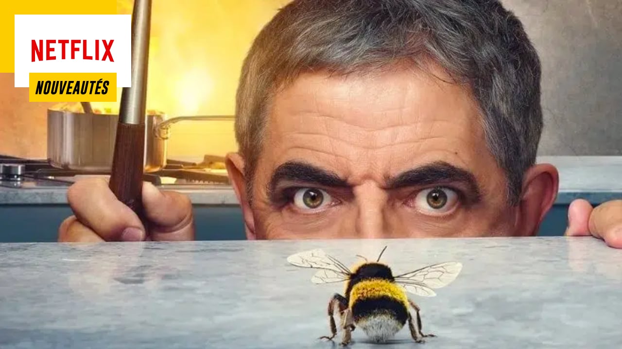 Un homme vs. Une abeille : cette série Netflix va vous faire délirer !
