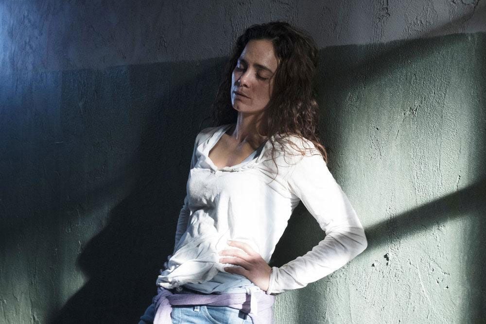 Films Et Séries Tv Avec Alice Braga Queen of the South : Photo Alice Braga - 138 sur 257 - AlloCiné