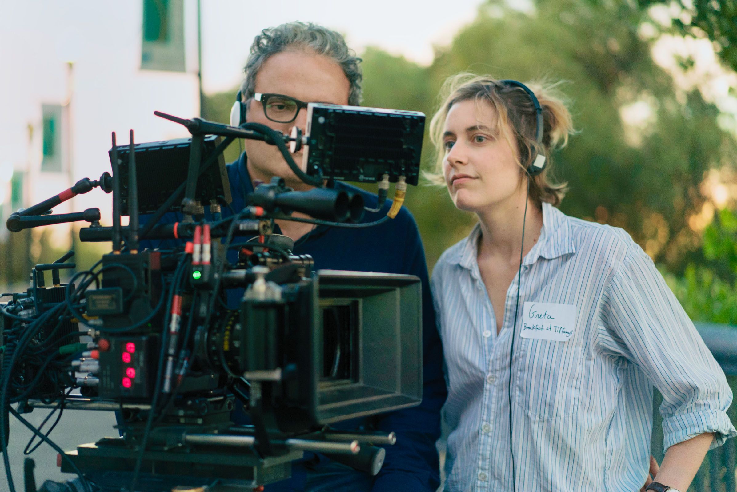 Descargar Gratis Lady Bird