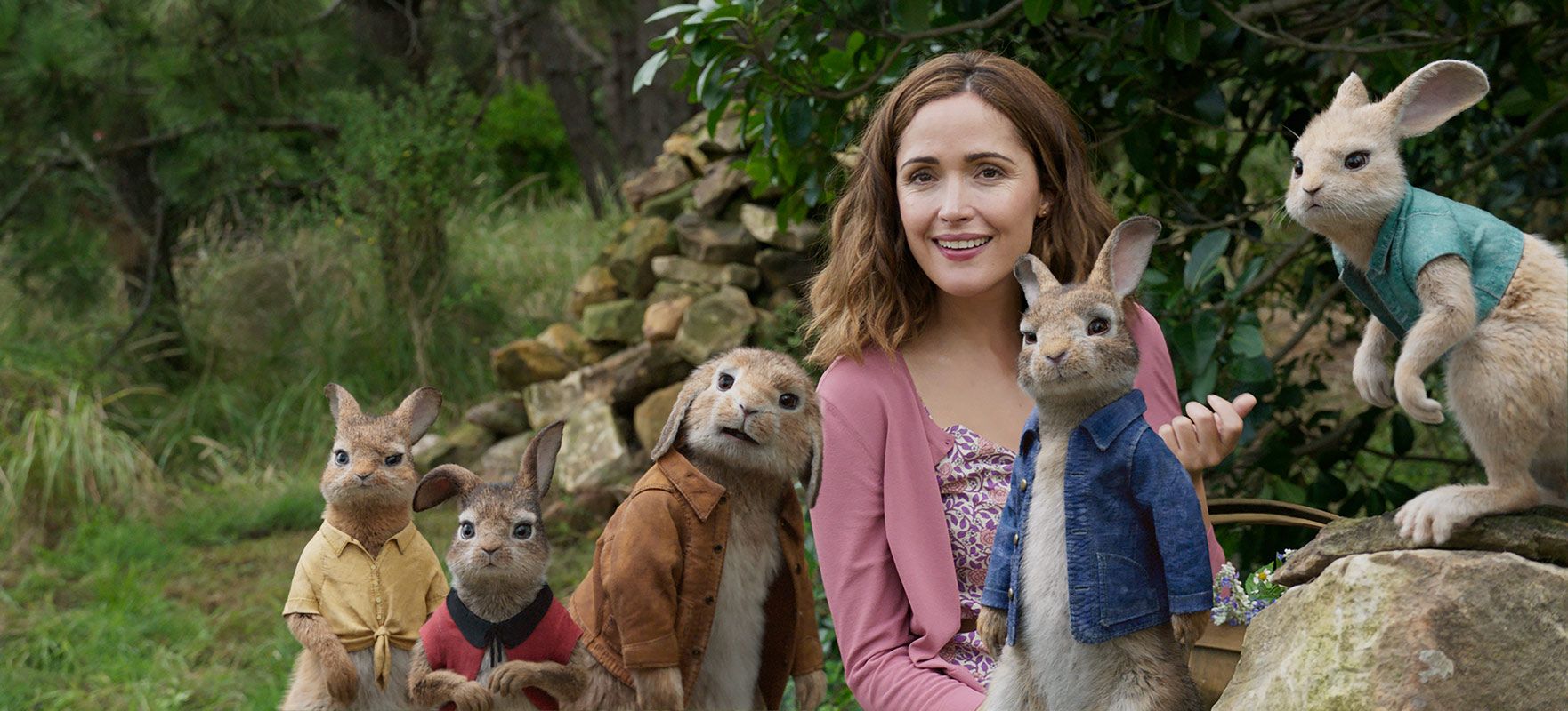 Pierre Lapin Pierre Lapin