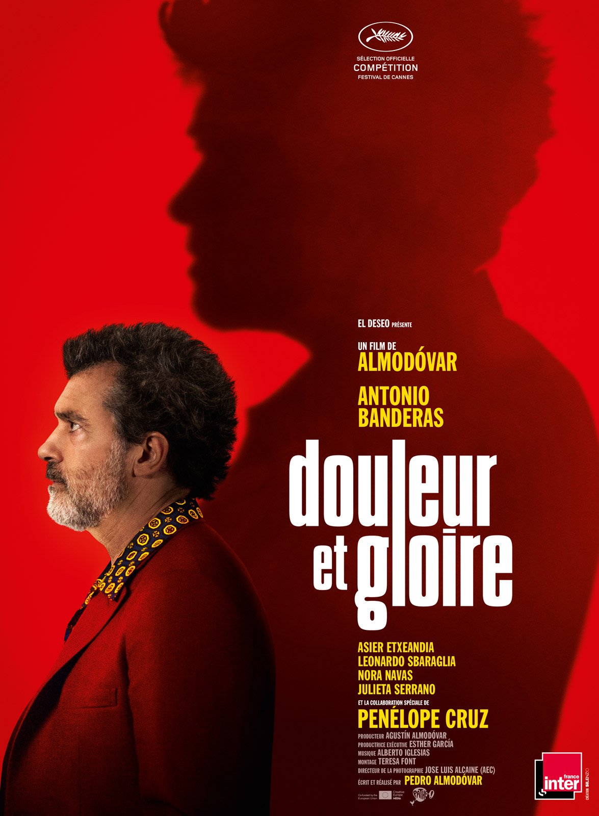 Douleur et gloire - film 2019 - AlloCiné1175 x 1600