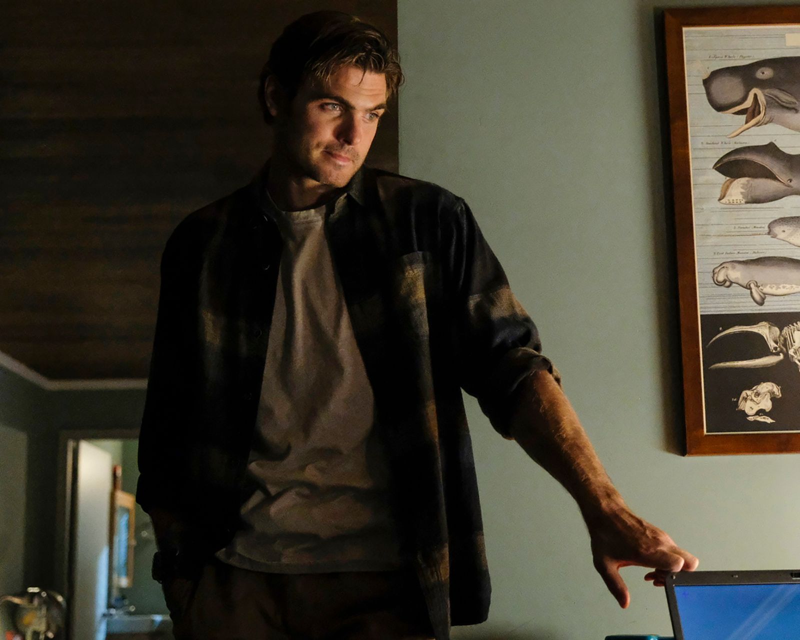 Films Et Séries Tv Avec Alex Roe Siren : Photo Alex Roe - 29 sur 149 - AlloCiné