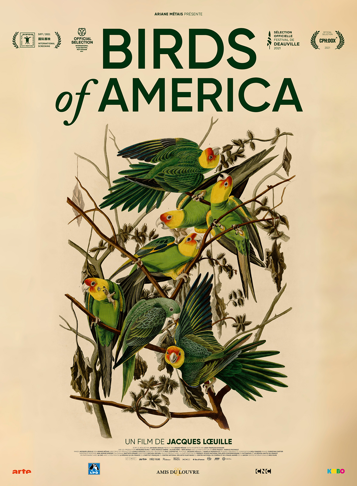 Regarder la vidéo Birds of America