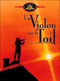 Photo : Un Violon sur le toit