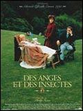 Photo : Des anges et des insectes