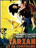Photo : Tarzan et sa compagne Photo : Tarzan et sa compagne