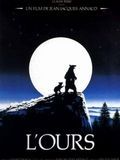 Photo : L'ours Photo : L'ours