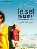 Photo : Le Sel De La Mer Photo : Le Sel De La Mer