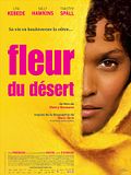 Photo : Fleur du désert