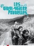 Photo : Vingt-quatre prunelles