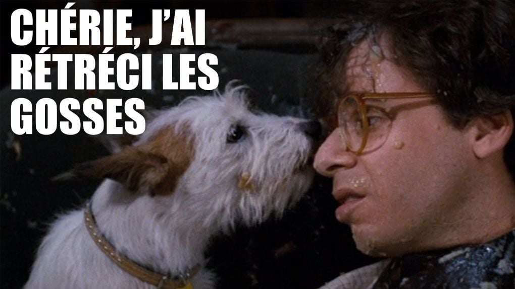 Chéri J Ai Rétréci Les Goss Série QUIZ A quels films appartiennent ces chiens ?: Chérie, j'ai rétréci les
