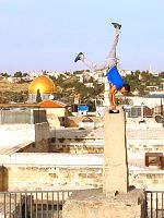 Derrière les fronts: résistances et résiliences en Palestine