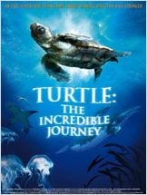 Turtle: The Incredible Journey Turtle: The Incredible Journey