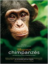 Chimpanzés