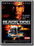 black dog