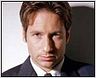 Que sont-ils devenus... David Duchovny ?