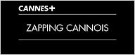 Cannes 2012 : le zapping best-of [CANAL +]