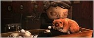 "Le Taxidermiste" - Un empailleur sur la paille