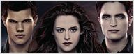 "Twilight"... au bureau : une suite écrite par des fans sera publiée !