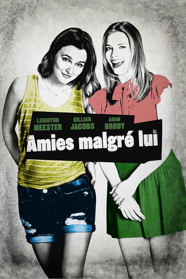 Amies malgré lui TRUEFRENCH BRRIP 2016