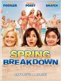 Spring Breakdown