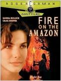 Fire on the Amazon