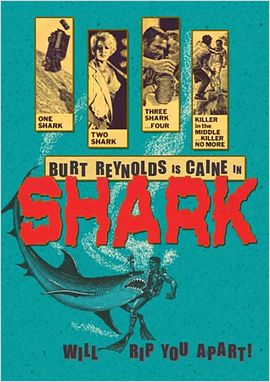 Shark!