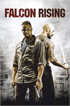 Falcon Rising