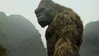Kong Skull Island sur TF1 : la scène post-générique décryptée Kong Skull Island sur TF1 : la scène post-générique décryptée