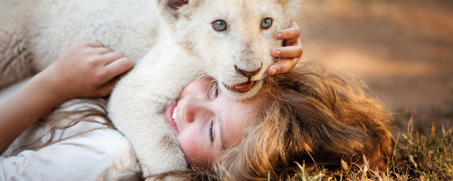 Teaser Mia Et Le Lion Blanc Un Tournage En Trois Ans Pour Cette Incroyable Histoire Damitié 0560