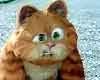 <strong>Garfield 2</strong> Bande-annonce VF