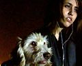 <strong>Les Chats persans</strong> Bande-annonce VO