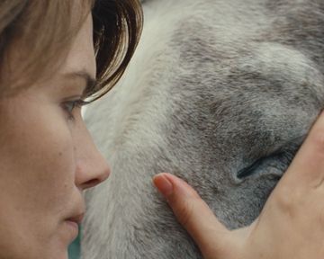 <strong>Sport de filles</strong> Bande-annonce VF