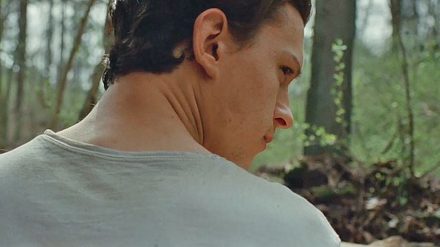 Tom Holland Le Diable Tout Le Temps Le Diable, tout le temps sur Netflix : c'est quoi ce thriller (très