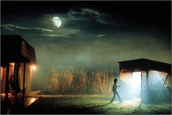 E.T. l'extra-terrestre : photo