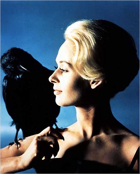 Les Oiseaux : photo Alfred Hitchcock, Tippi Hedren