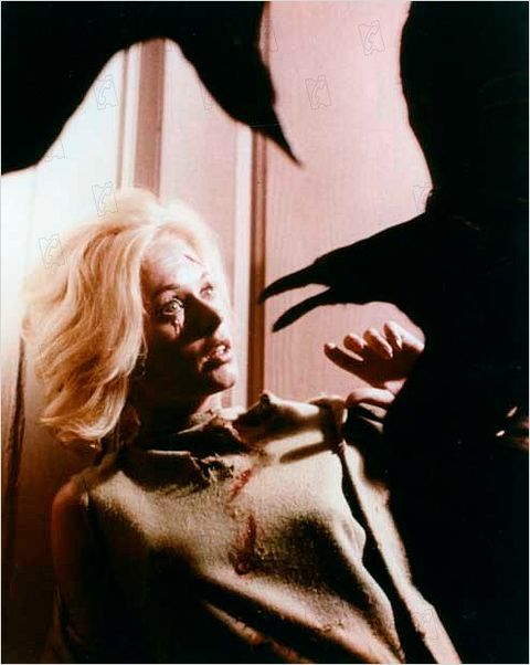 Les Oiseaux : photo Alfred Hitchcock, Tippi Hedren