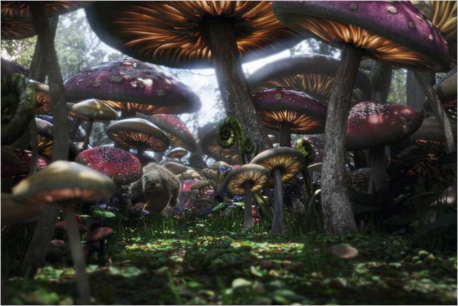 Alice au Pays des Merveilles : photo Tim Burton