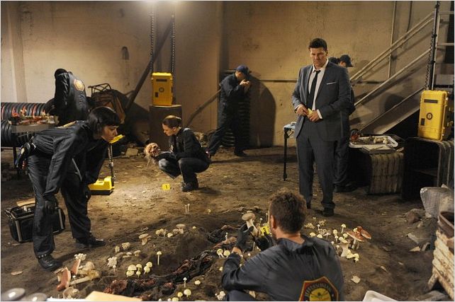 Photo David Boreanaz, Emily Deschanel, Tamara Taylor