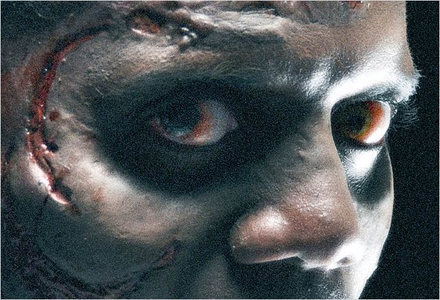 The Walking Dead : photo