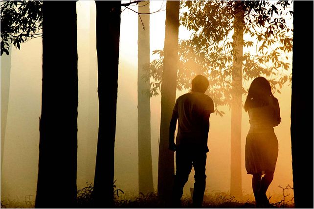 La Ballade de l'Impossible - Norwegian Wood : photo